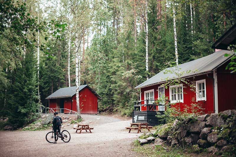 Man cycling in the woods in Denmark.