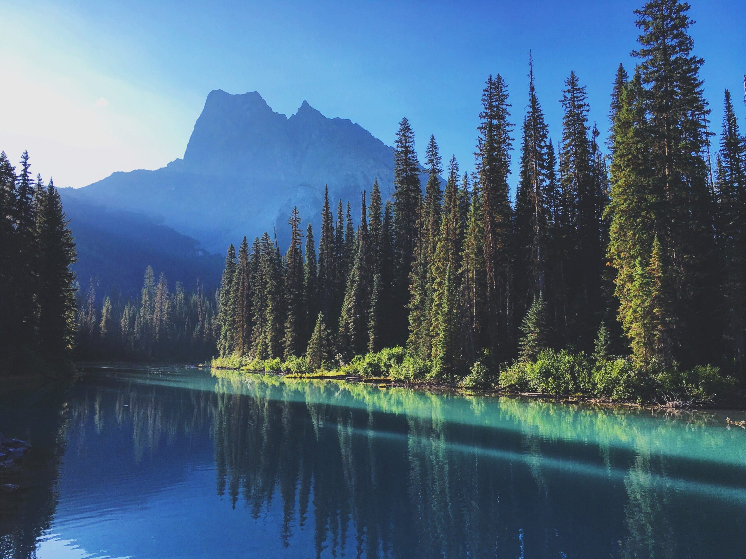 Cool blue lake with pine trees and a mountain