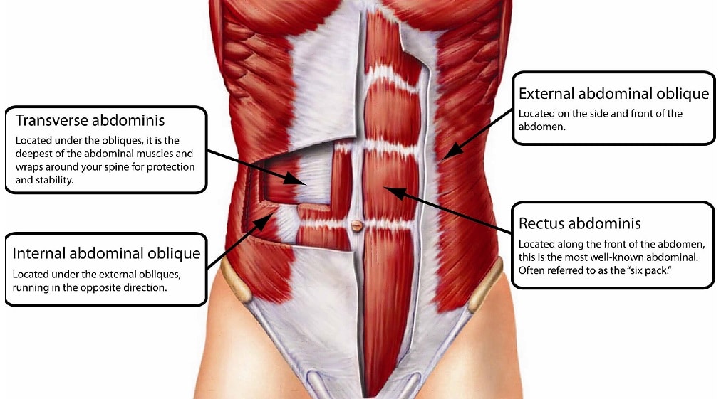 Core muscles