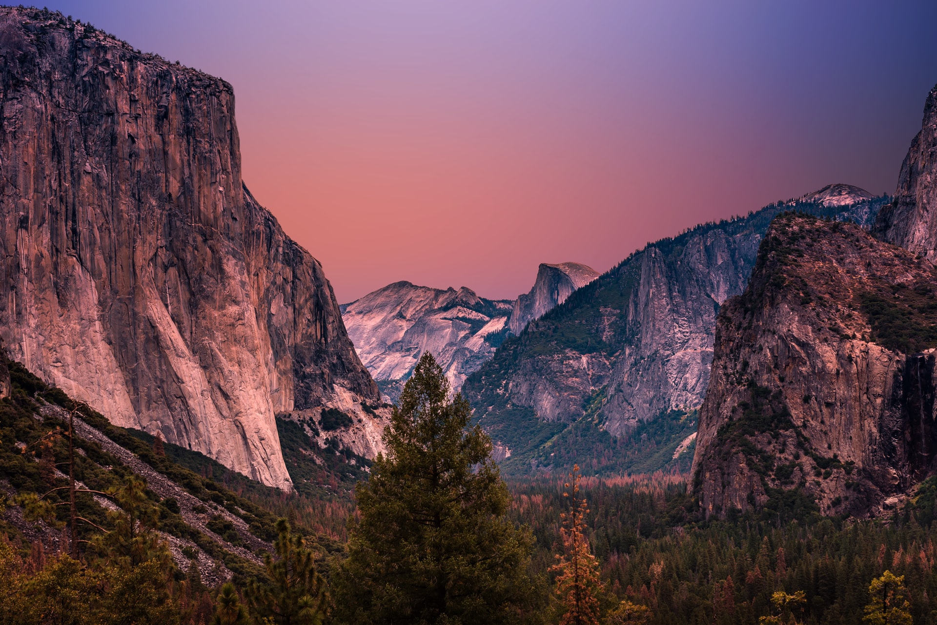 sunlight over mountains and forests