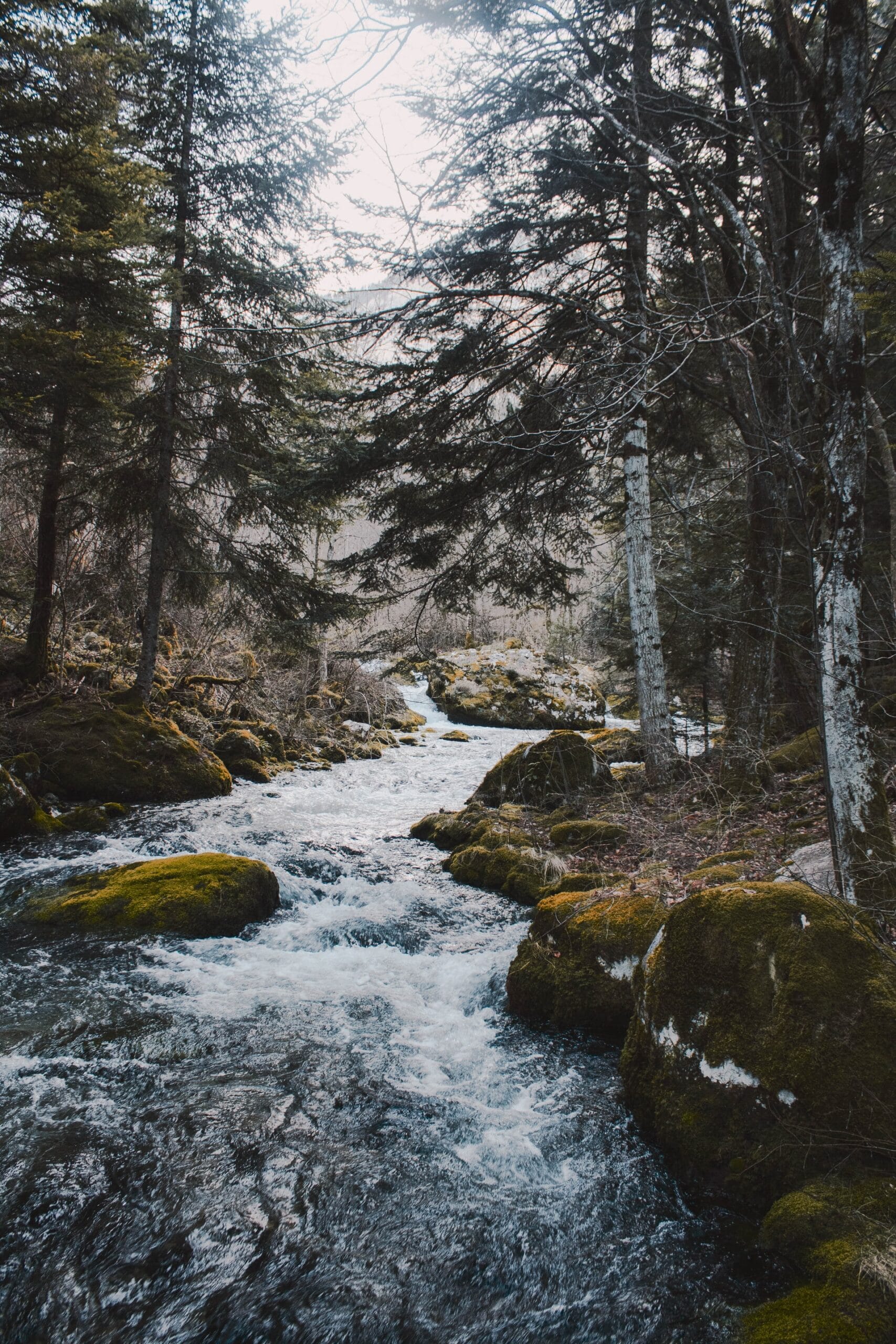 River between rocks and trees.