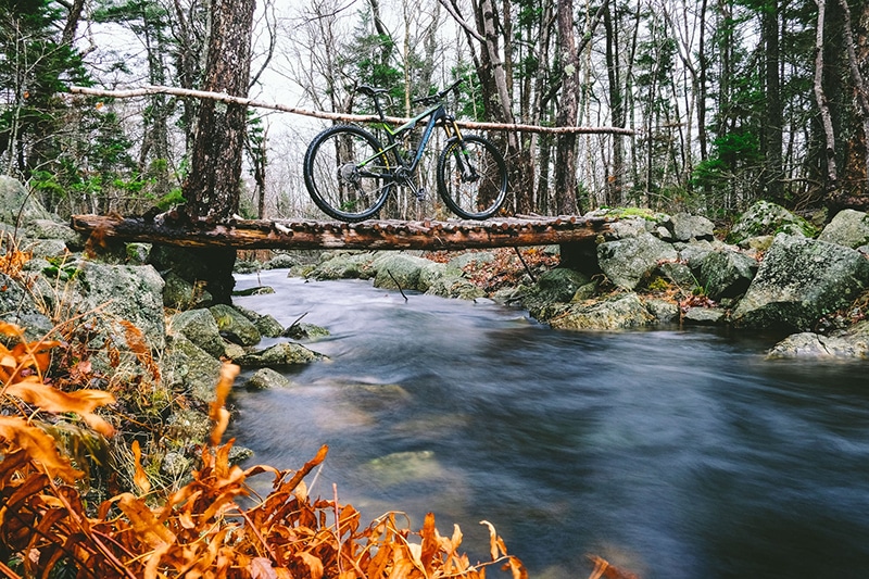 Fall colours and bike.