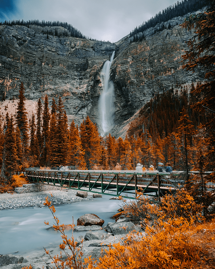 Canadian trees in the fall