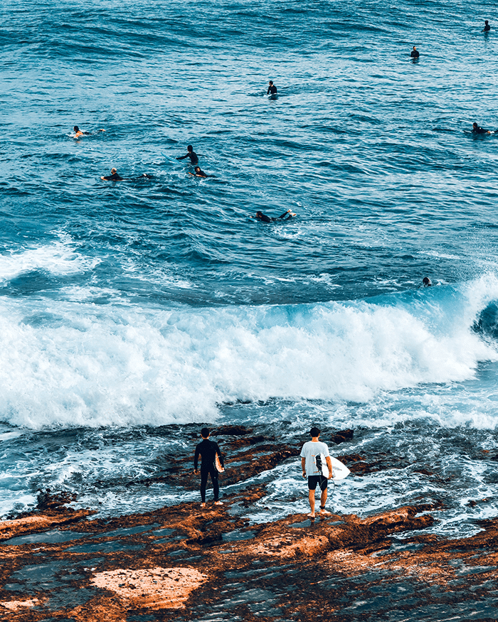 Surfers in the sea