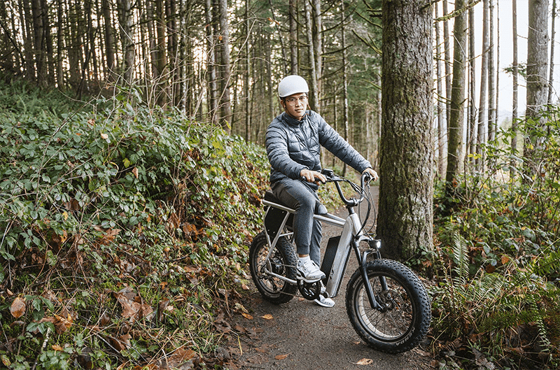 Electric Bikes in the woods