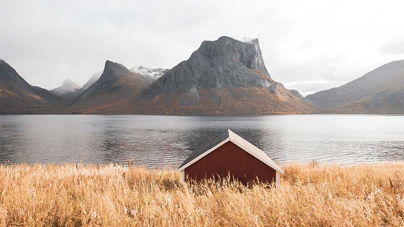 Hut in the wilderness