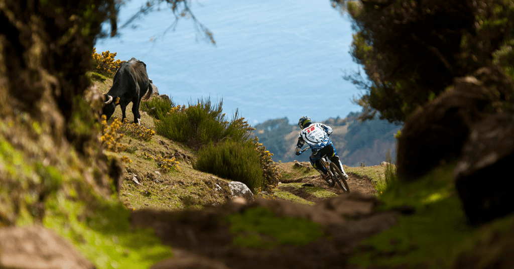 Mountain-Biking-Down-Hill