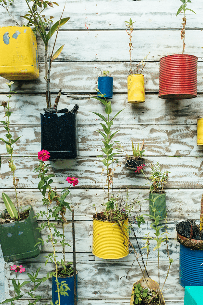 plants and pots hanging on the wall. 