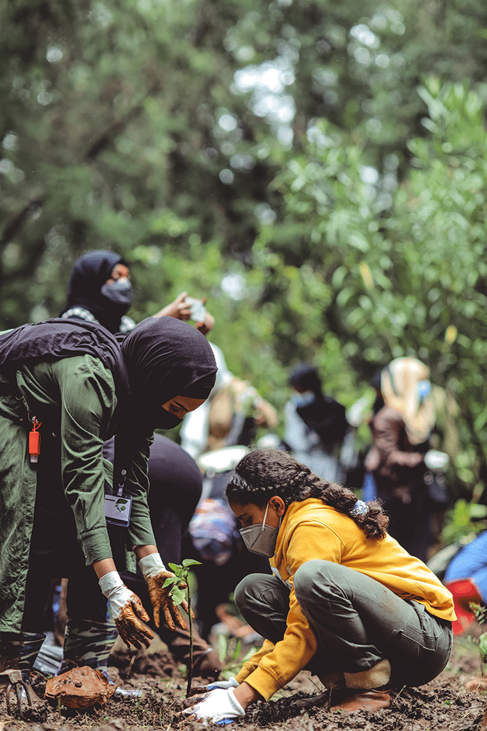 Women planting trees