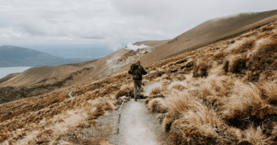 Hiker-in-New-Zealand