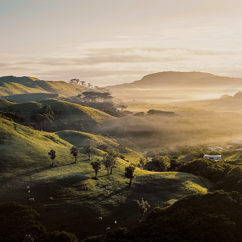 New Zealand Outdoor Clothing Companies in the mist