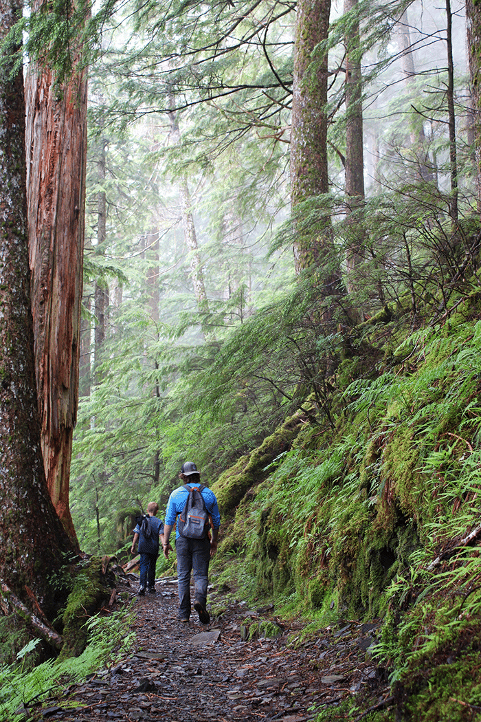 Man and boy on camping trail