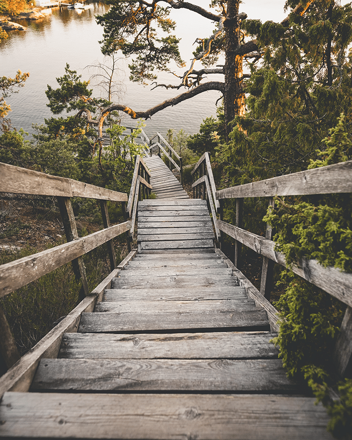 Steps down to the lake