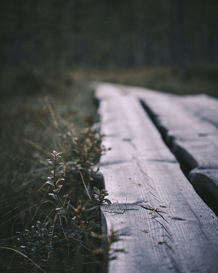 wooden boards on hiking trails in Finland