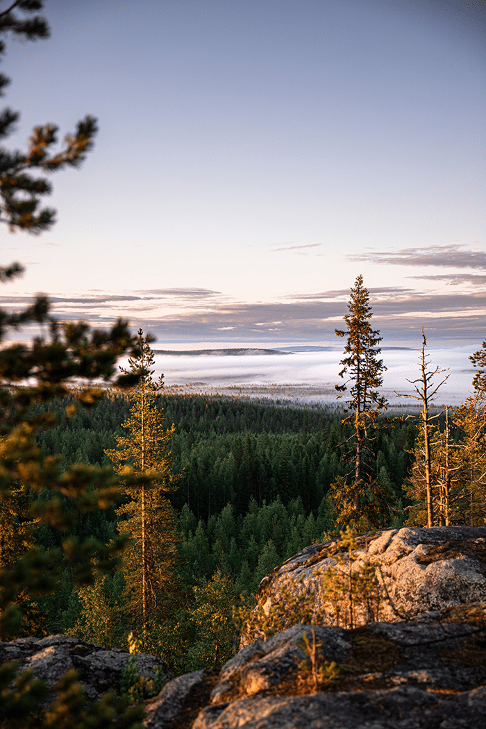 Finnish landscape