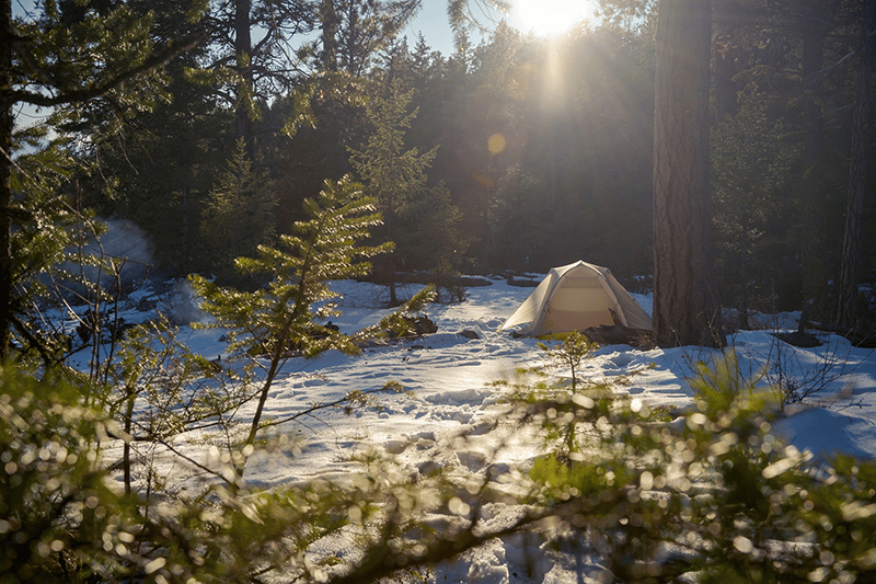Winter tent in snowy forest