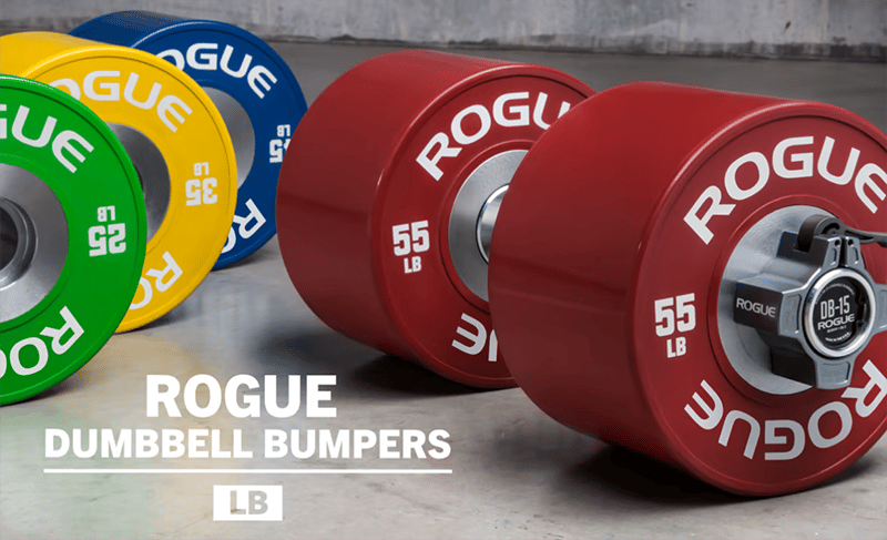 Rogue adjustable dumbbells bumper plates in different colours.