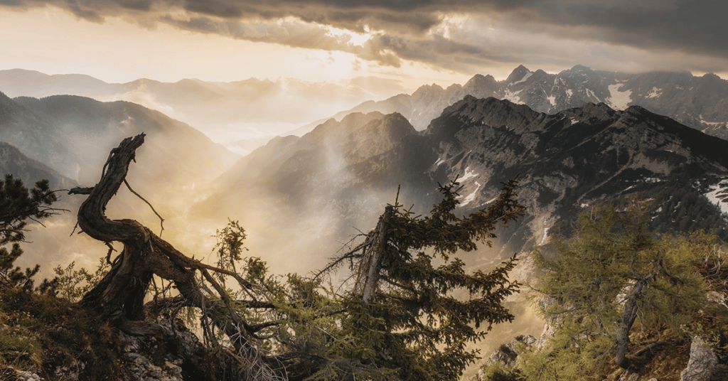 Mountains and mist and trees