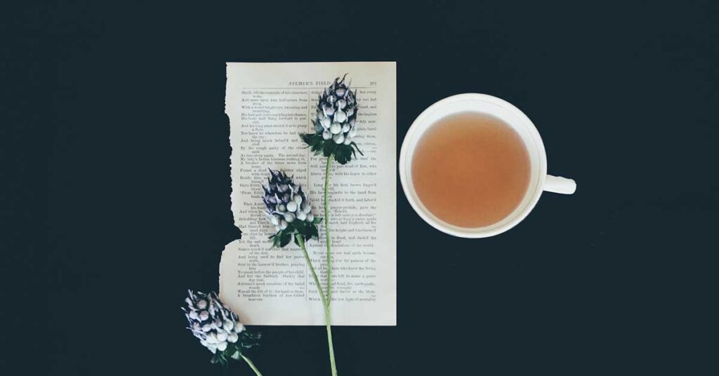 Pine needle tea on dark blue background