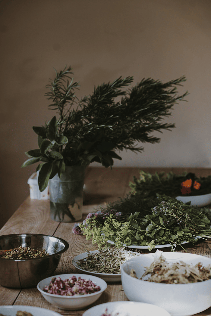 Herbs on the table