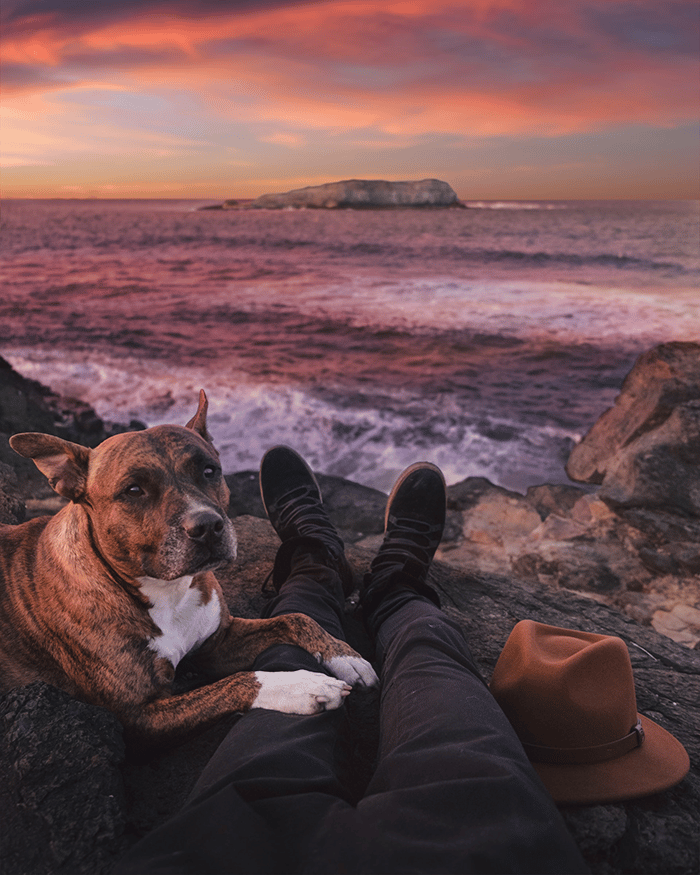 Man and his dog in nature