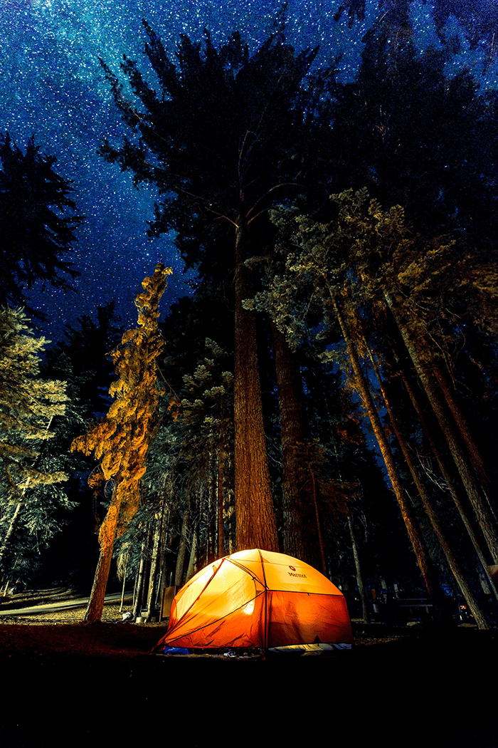 Tent under trees in wood
