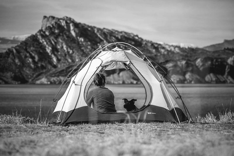 Woman and Dog in Tent together with best tent brands from north america