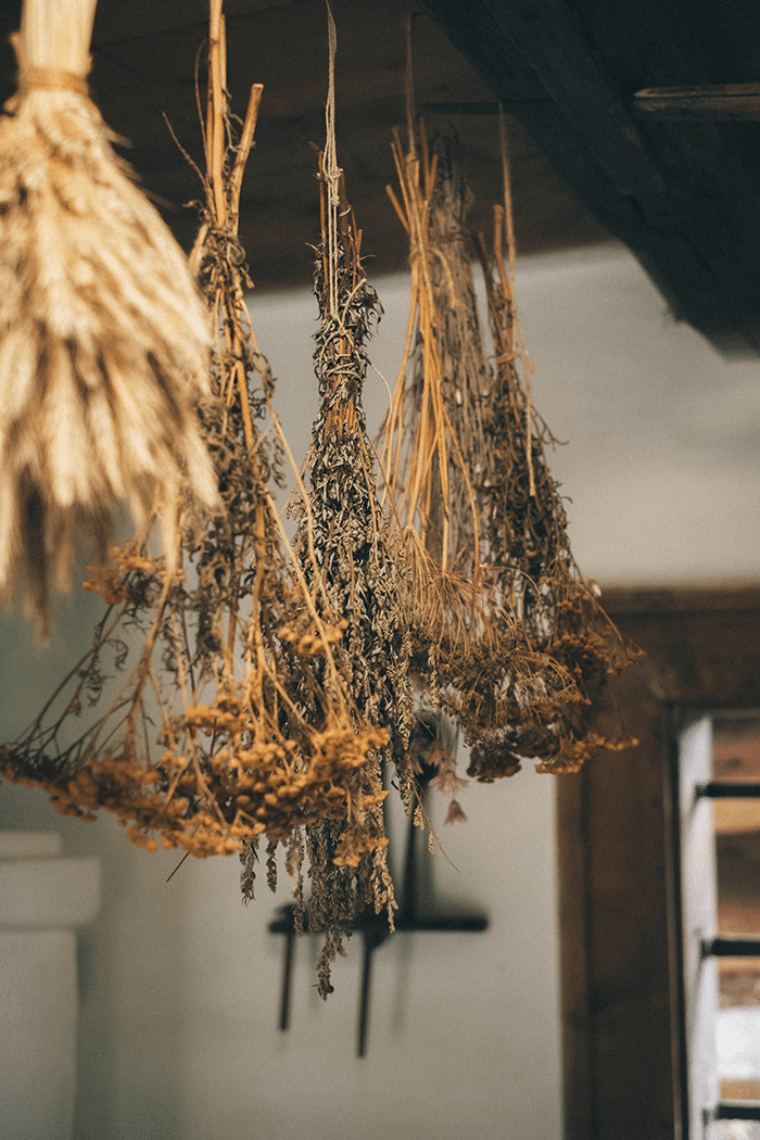 Herbs hanging in the house