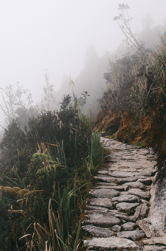 Mountain pathway