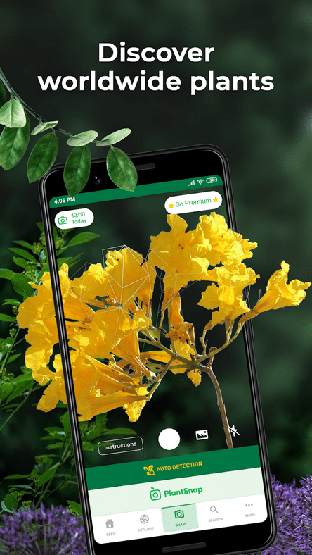 flowers in app