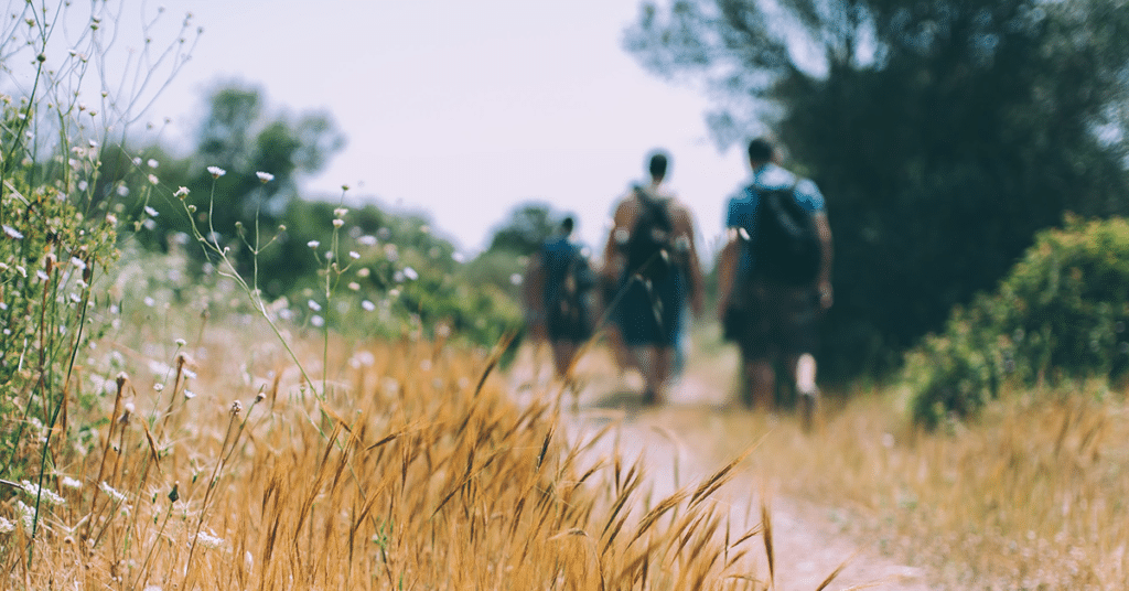 Hikers in the meadow