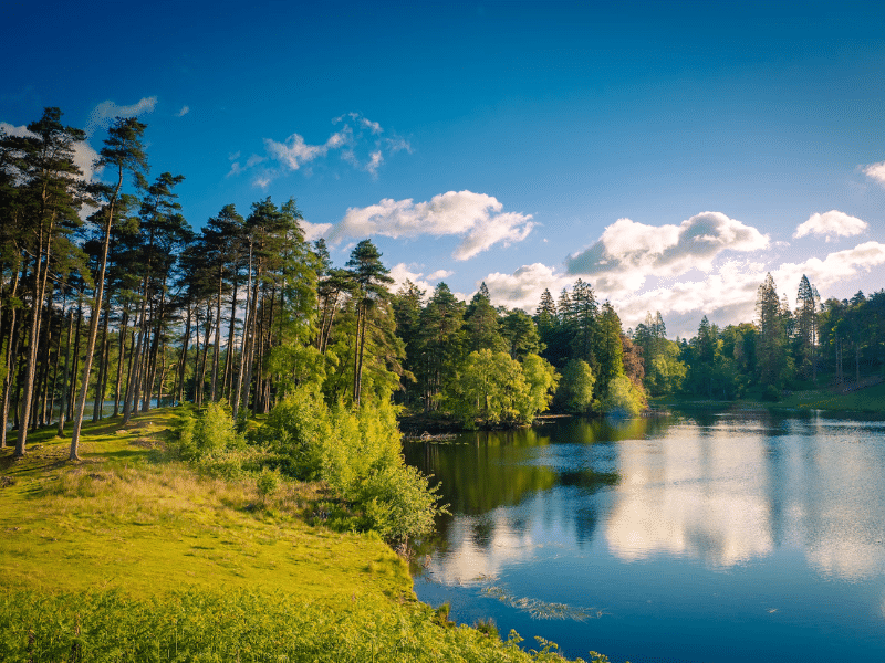 Tarn Hows hiking route