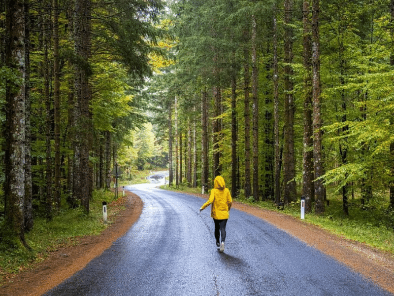 REJOICE runner on forest path