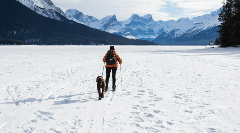 Figure-in-Landscape-and-Dog