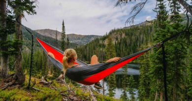 Hammock in the outdoors