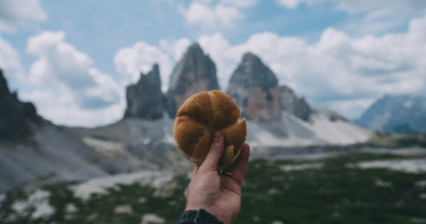 Best foods for hiking